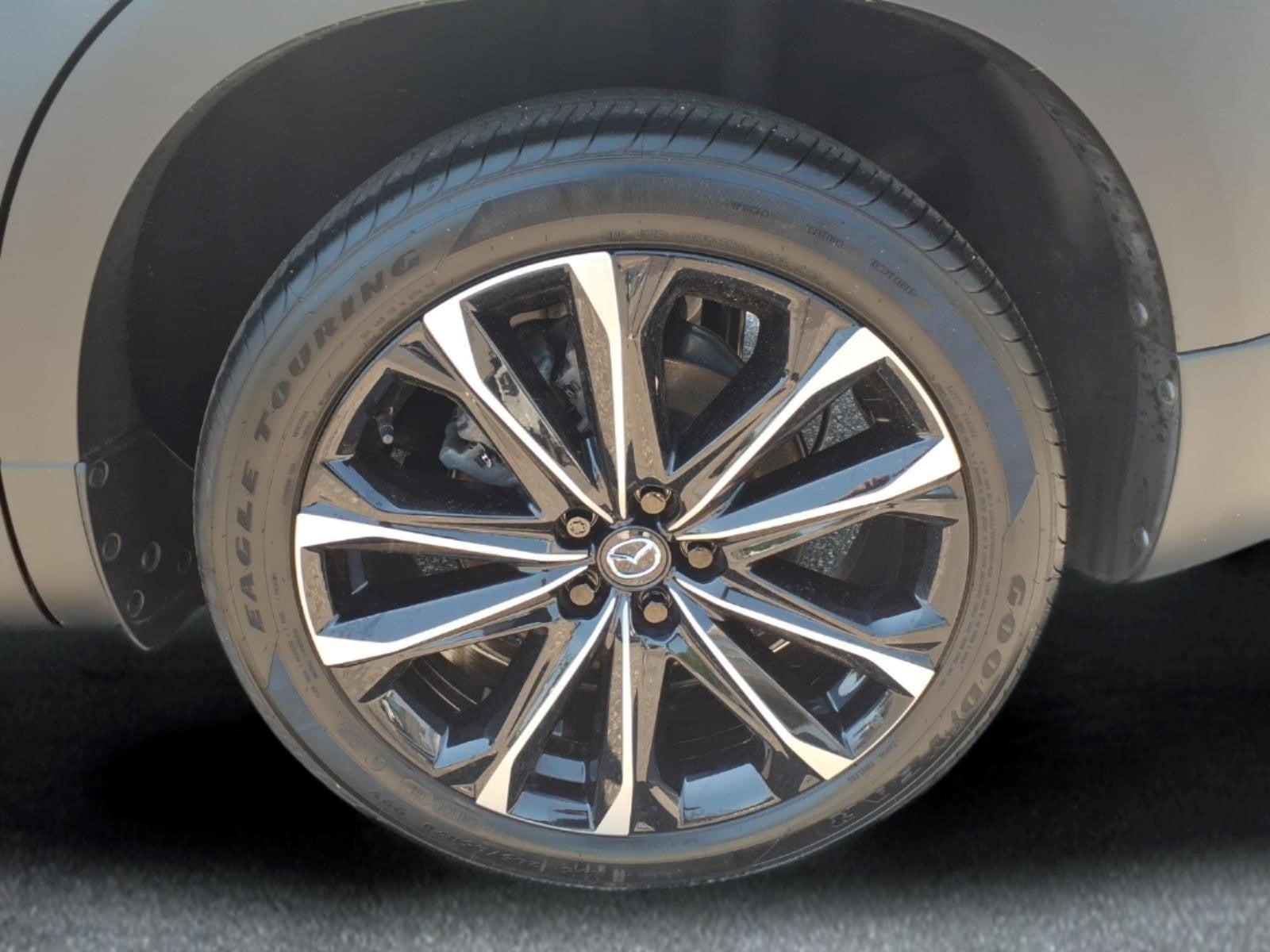 2025 Mazda Mazda CX-50 2.5 S Premium Plus